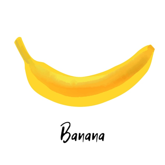 Bananenillustration lokalisiert auf weißem hintergrund