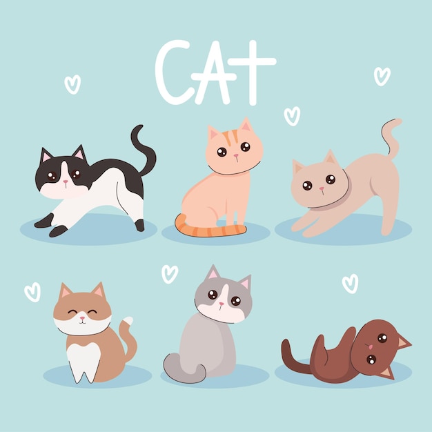 Banner mit süßen Katzen