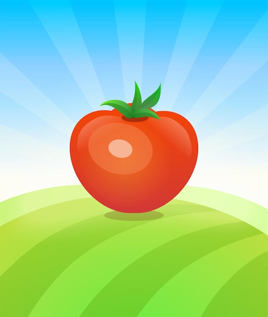 Bannervorlage mit handelsplakat für tomatengemüse
