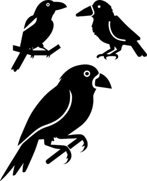 Barbet-Vektorsilhouettenillustration 3