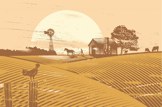 Bauer und Pferd pflügen im Feld bei Sonnenaufgang