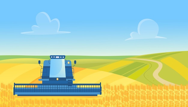 Bauernhof-Erntemaschine, die Weizen vom gelben Getreideackerlandfeld der Landschaft erntet