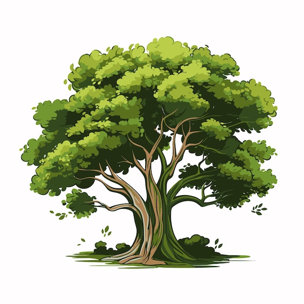 Baum Illustration
