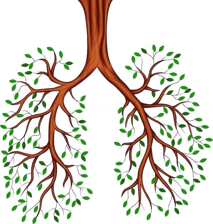 Vektor baum lungen cartoon