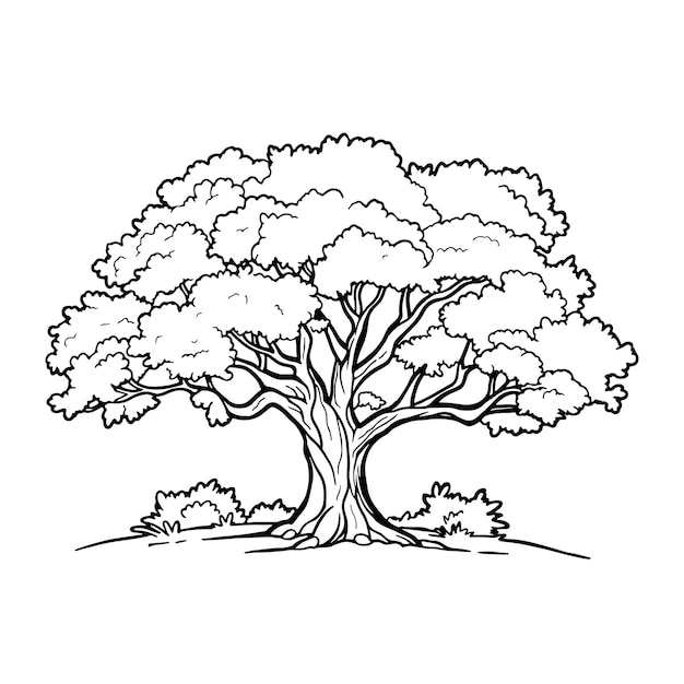 Baum mit Blättern Silhouette auf weißem Hintergrund Malbuchseite Vektor