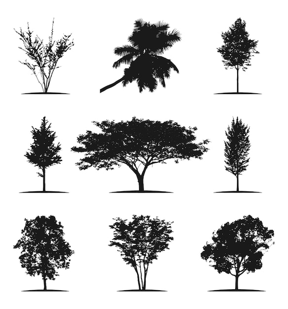 Baum-silhouette-vektor-baum-illustration