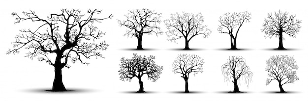 Baum silhouetten festgelegt
