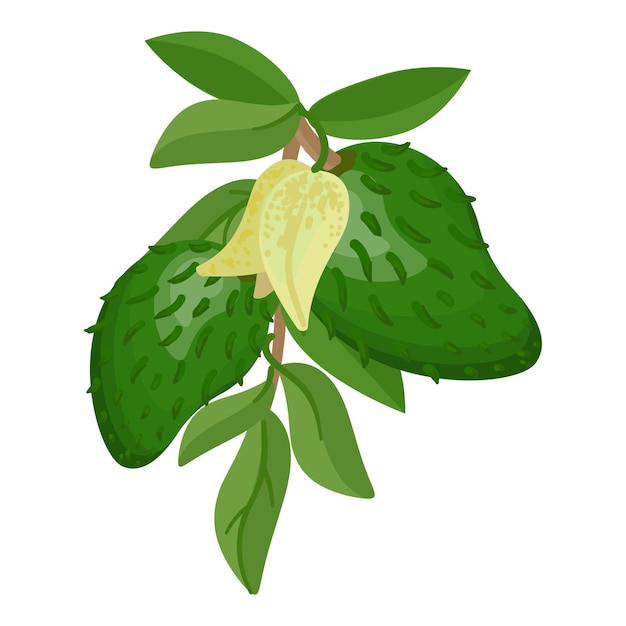 Vektor baum-soursop-symbol cartoon-vektor saft annona fruchtlebensmittel