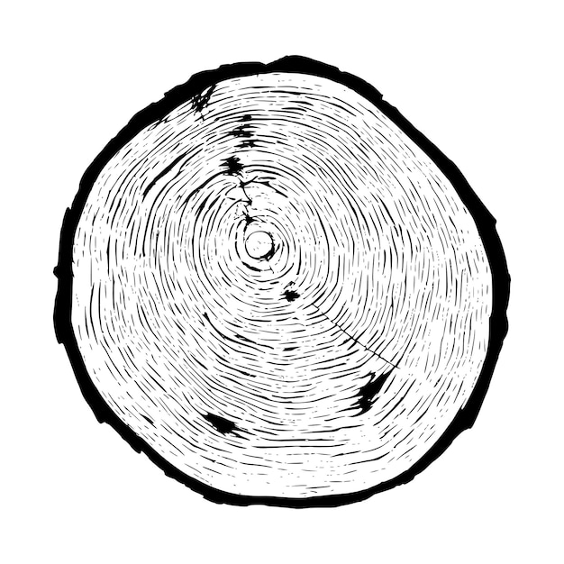 Baumringemuster des Baumschnitt-Schnittvektors Illustration