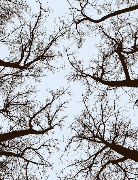 Vektor baumsilhouetten im winterwald