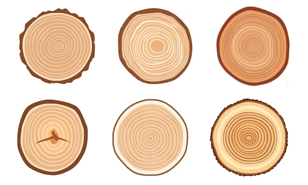 Baumstamm-Holzringe. Holzelemente mit Baumringen, Holzscheibenschnitt-Kollektion