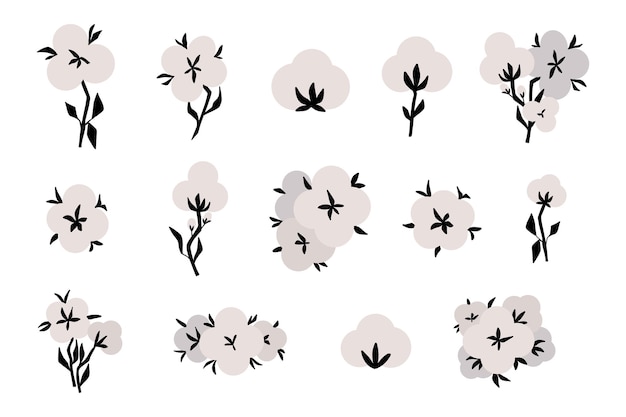 Vektor baumwollblume organische blumen weiße kugeln mit blättern vektor botanische illustration