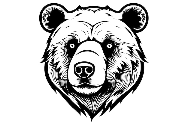 Vektor bear-vektor-illustrator-design