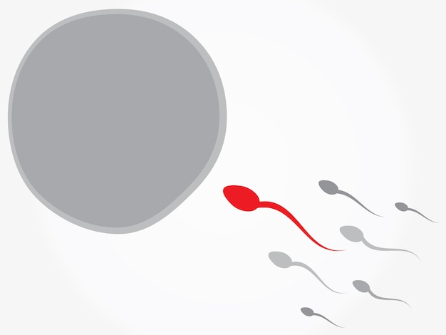 Vektor befruchtung von eizellen und spermien
