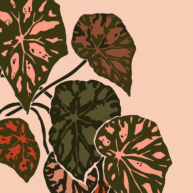 Begonia bowerae blätter in einem minimalistischen trendigen stil. silhouette einer pflanze in einem zeitgenössischen abstrakten stil. vektorillustrationscollage. für t-shirt print, karte, poster, social media post