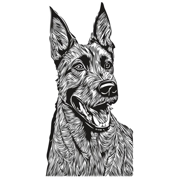 Vektor belgisches malinois-hundelogo handgezeichnete linie kunstvektorzeichnung schwarz-weißer haustierillustration