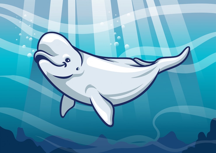 Vektor beluga im ozean