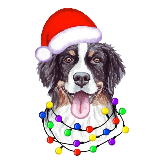 Vektor berner sennenhund mit weihnachtsbeleuchtung in santa's hut. nette weihnachtswelpenillustration.