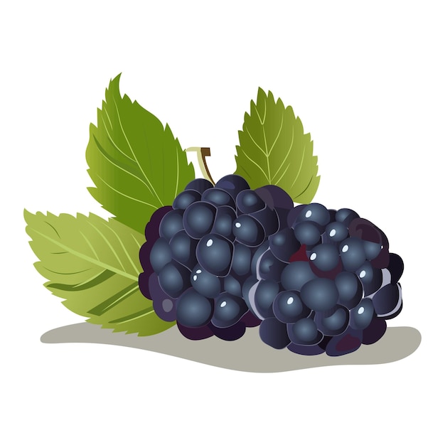 Berry of colorful set Eine kunstvolle Darstellung einer Schwarzbär in einem lebendigen Cartoon-Design.