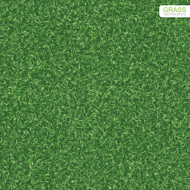 Beschaffenheit des grünen Grases für Hintergrund.