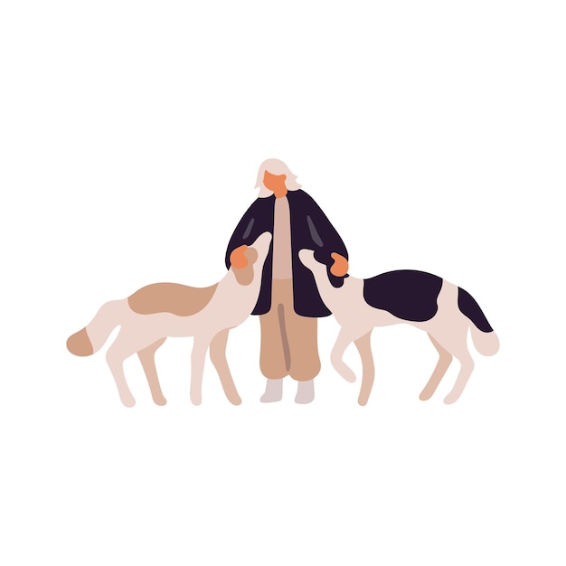 Besitzer spaziert reinrassige afghanische hunde oder russische jagdhunde frau geht mit ihren flauschigen welpen spazieren abstrakte person kümmert sich um ihre borzois flach isolierte vektorillustration auf weiß