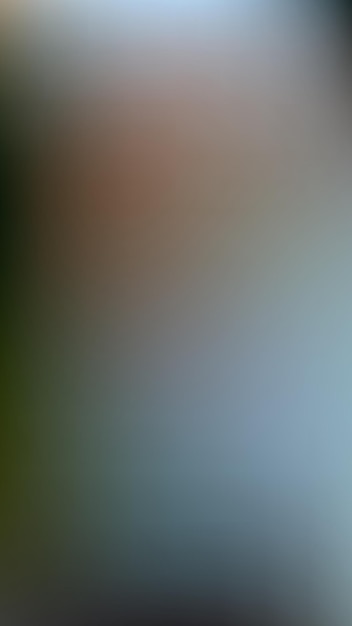 BG_313 Die