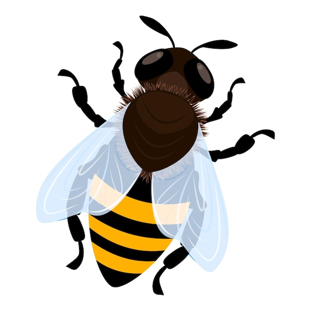 Bienensymbol cartoon des bienenvektorsymbols für webdesign isoliert auf weißem hintergrund