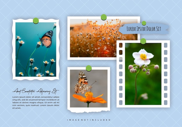 Bild- oder Fotorahmen-Collage und digitale Foto-Wandvorlage