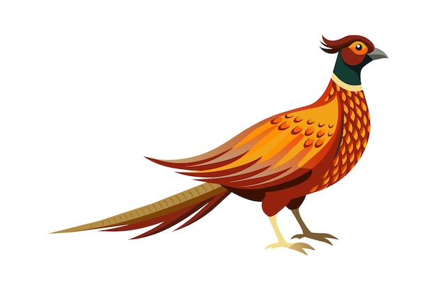 Bild-Vektor-Kunstillustration des gewöhnlichen Fasanvögels