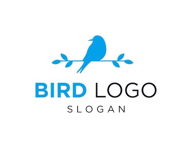 Bird Design wurde mit der Corel Draw 2018-Anwendung mit weißem Hintergrund erstellt