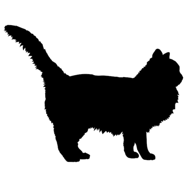 Vektor birman katze silhouette züchtet katze logo monogram vektor