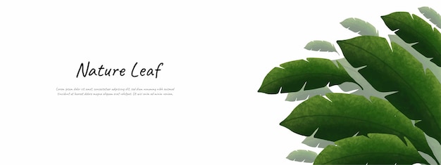 Blätter Natur Hintergrund Design Vektor für grüne Umgebung Hintergrund