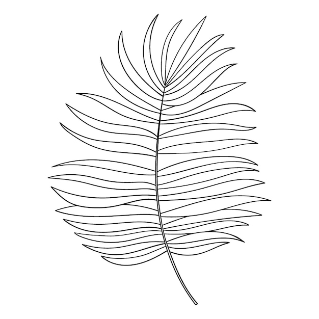 Blätter Pflanzen botanische Handzeichnung minimalistische einfache Illustration