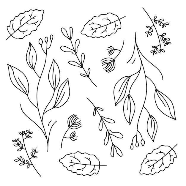 Vektor blätter pflanzenset mit vektordesign im doodle-linienstil