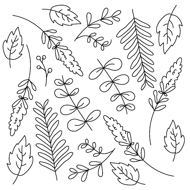 Blätter pflanzenset mit vektordesign im doodle-linienstil