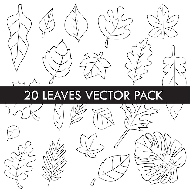 Blätter vector pack bundle kritzeln illustration