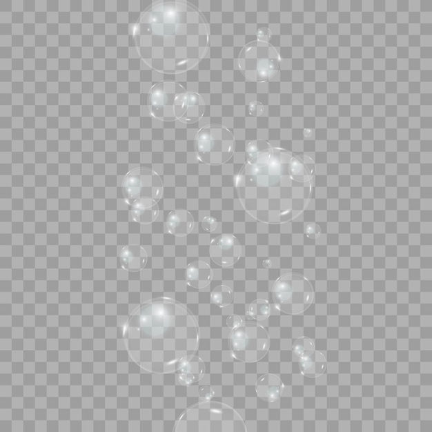 Blasenvektor. Seifenblase auf transparentem Hintergrund. Vektordesign.