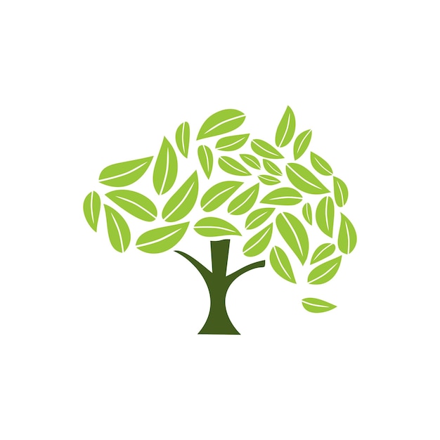 Blatt baum eiche vektor symbol logo