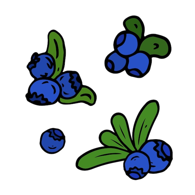 Vektor blaubeere isolierte doodle-vektor-illustration konzept von sommerfrüchten, beeren und gesunder ernährung