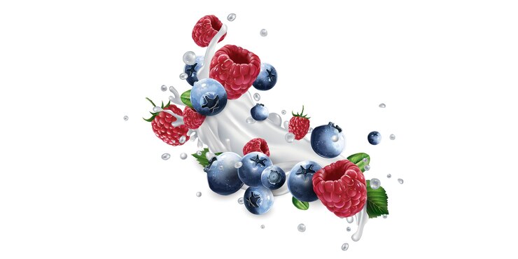 Blaubeeren und Himbeeren und ein Spritzer Joghurt oder Milch auf einem weißen Hintergrund.