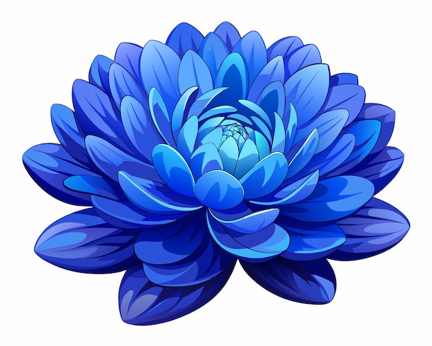 Blaue dahlia-blumen auf weißem hintergrund