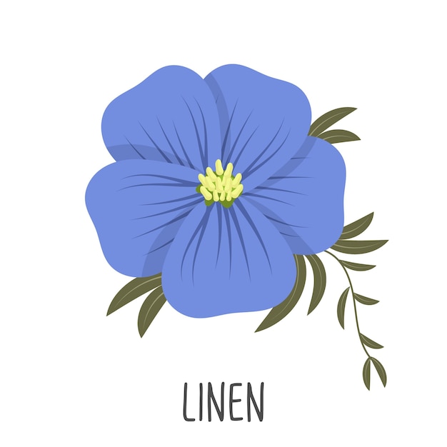 Blaue Flachsblume auf weißem Hintergrund Leinenfarbe Illustrationsvektor