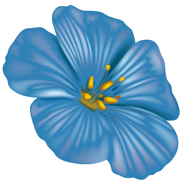 Blaue sommerblume mit gelben pollenstöcken