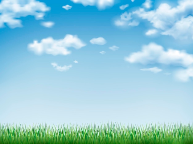 Vektor blauer himmel und ein feld mit grünem gras
