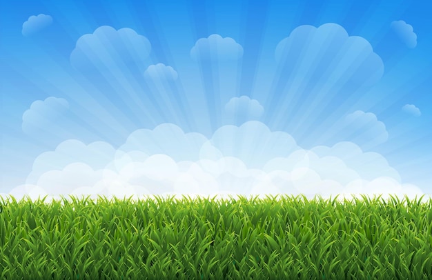 Blauer Himmel Und Weiße Wolken Und Grasgrenze