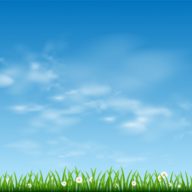 blauer sonniger Himmel und Grenze des grünen Grases