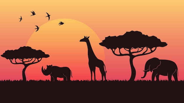Blick auf den sonnenuntergang in der savanne