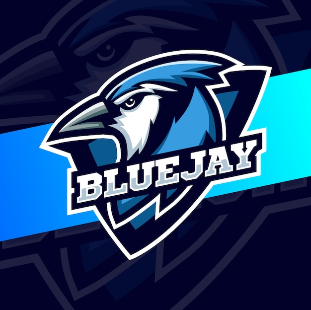 Blue jay vogelkopf maskottchen sport logo design