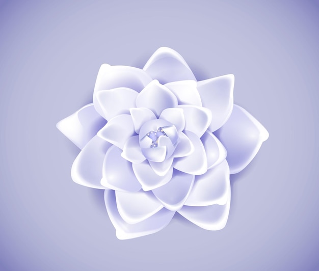Blühende blaue Blume isoliert im Hintergrund Frühlingsrose Kamelienblüte