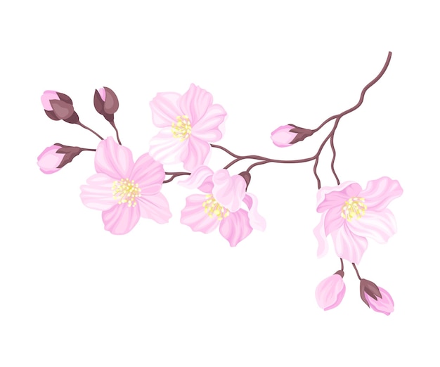 Vektor blühende kirschzweig mit zartem rosa blütenblüten-vektorillustration